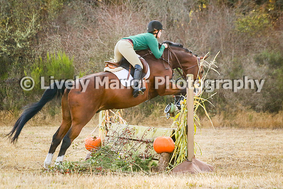 228Lindsey_0065