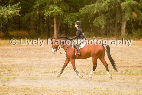 228Lindsey_0385