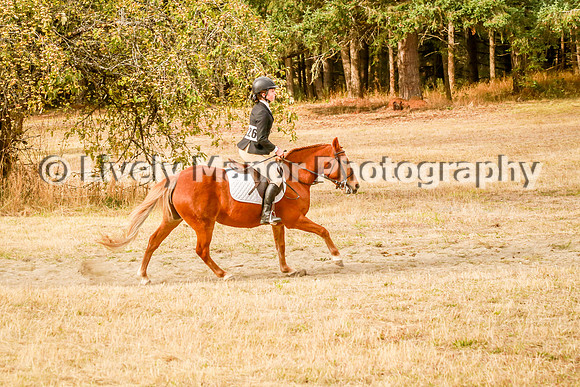 226Ruby_0311