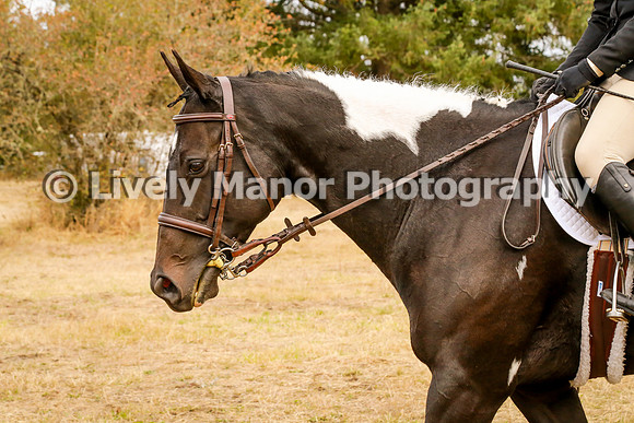 336Jackie_0925