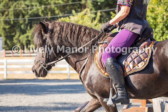 Lauren_8956