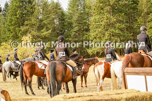 Group_0329