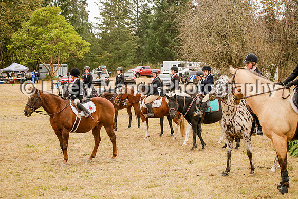 Group_0565