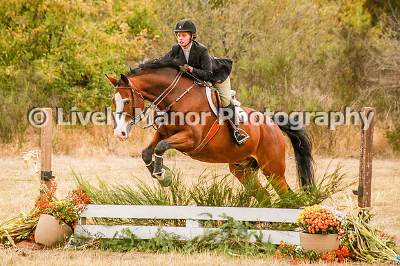 228Lindsey_0710