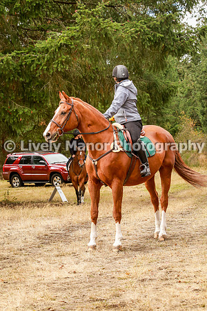 339Kaja_0890