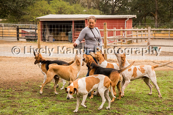 Hounds_0165