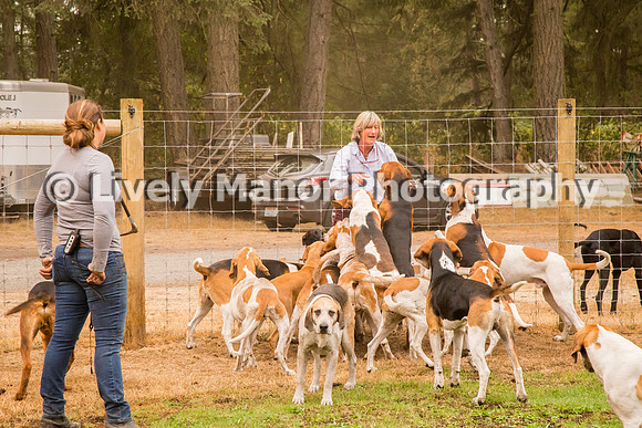 Hounds_0290