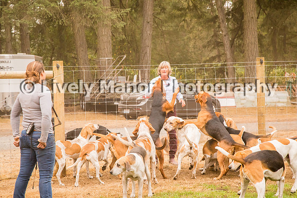 Hounds_0295