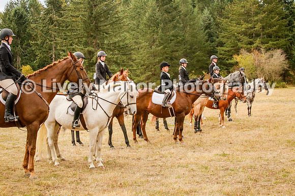 Group_0326