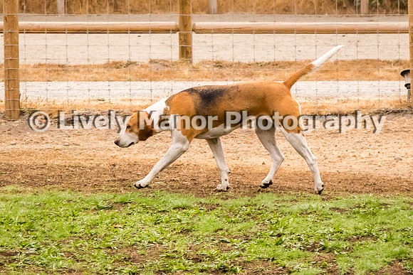 Cece_0116