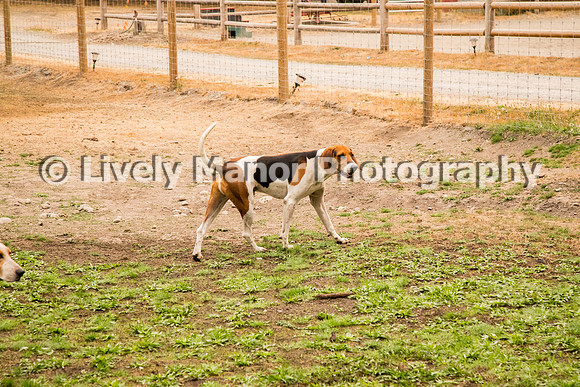 Ernie_0329