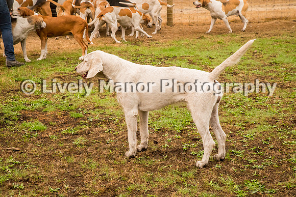 Kent_0308