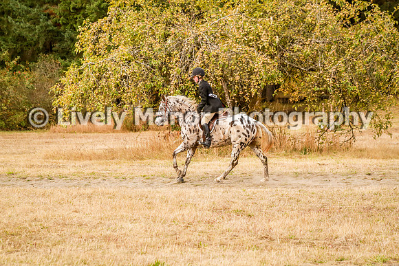 220Jordan_0237