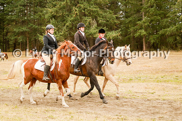 Williamson_1052