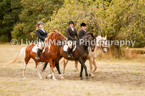 Williamson_1015