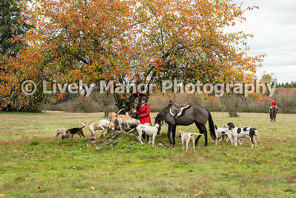 Blessing-BeforeHunt_6423