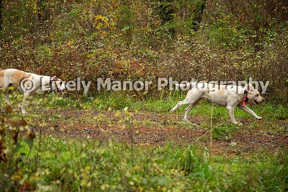 Blessing-Hunting_6622