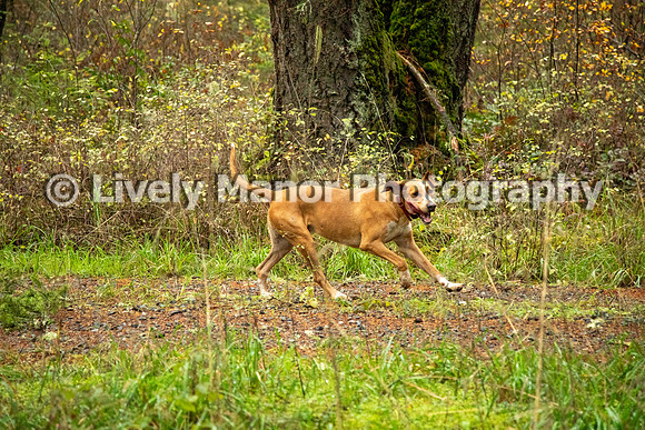 Blessing-Hunting_6623