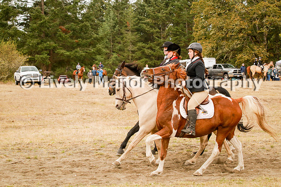 Williamson_1010