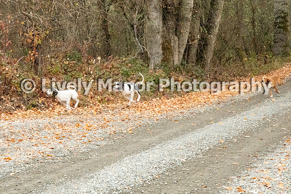 Hunt_6863