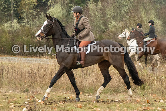 Hunt_6885