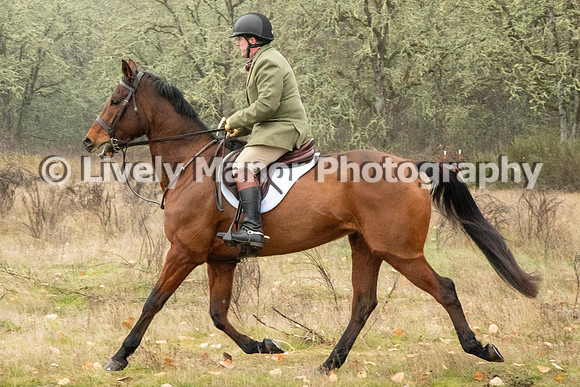 Hunt_6890