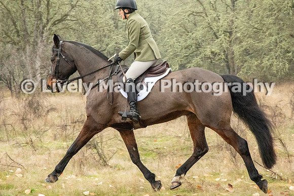 Hunt_6891