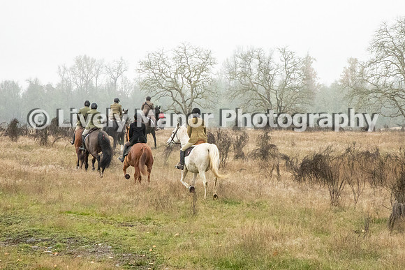 Hunt_6893