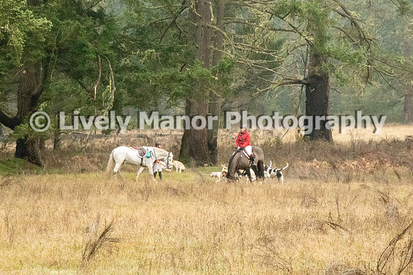 Hunt_6899