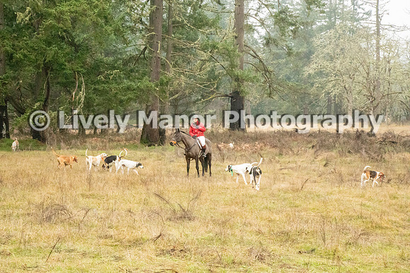 Hunt_6925