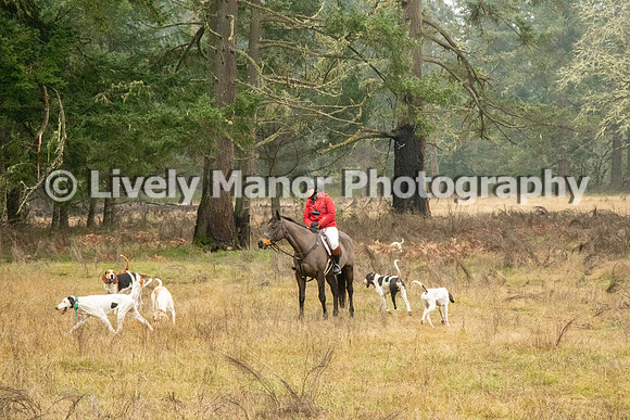 Hunt_6926