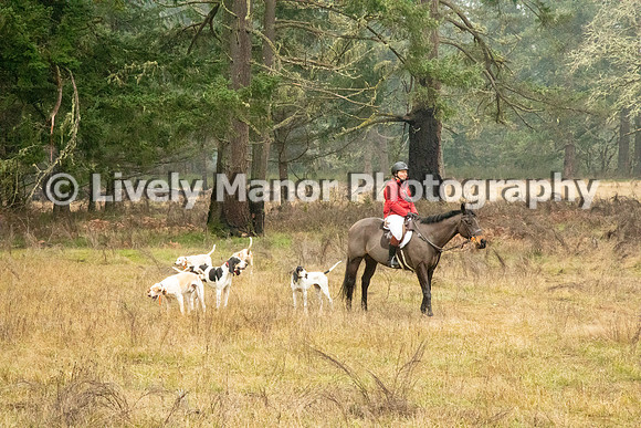 Hunt_6928