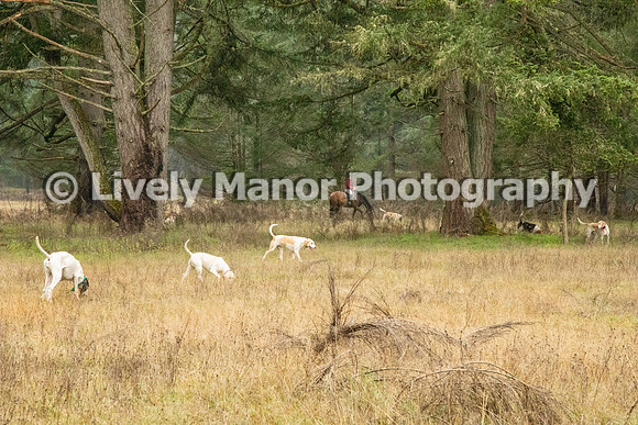 Hunt_6947