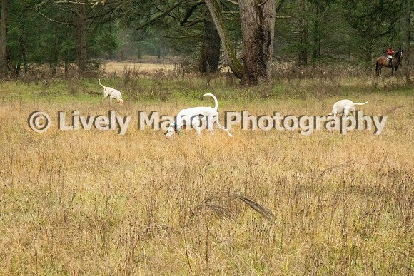 Hunt_6948