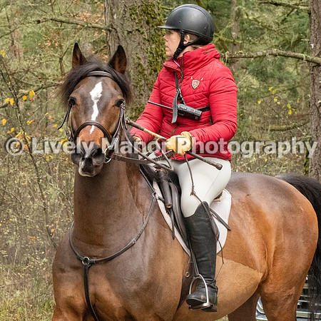 Hunt_6975
