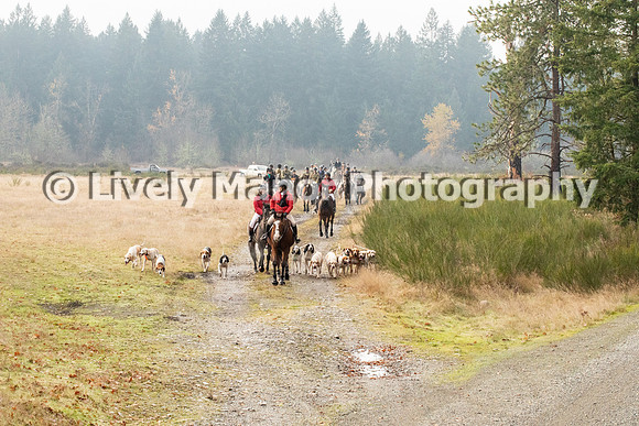 Hunt_7086