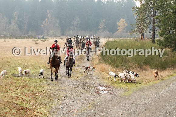 Hunt_7091