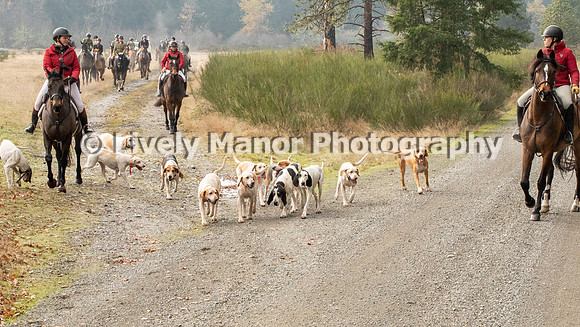 Hunt_7093