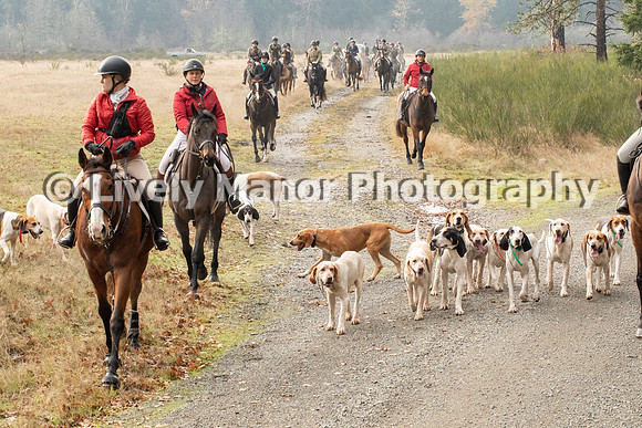 Hunt_7094