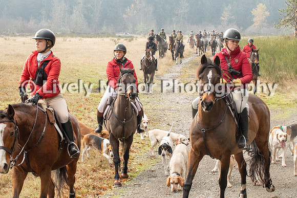 Hunt_7098