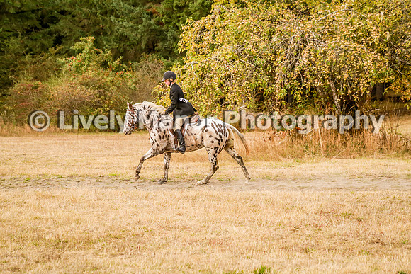 220Jordan_0238