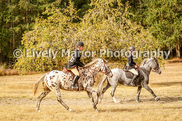 220Jordan_0306