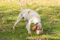 Hunt-2March24_7676