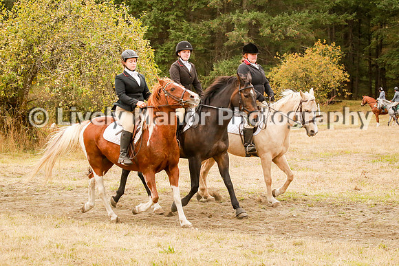 Williamson_1050
