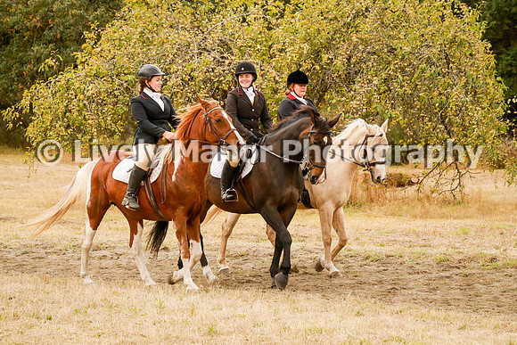 Williamson_1016