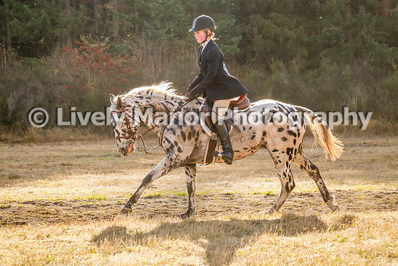 220Jordan_0111