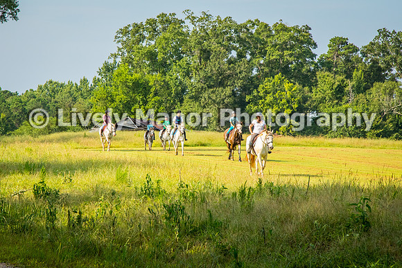 Group_4897