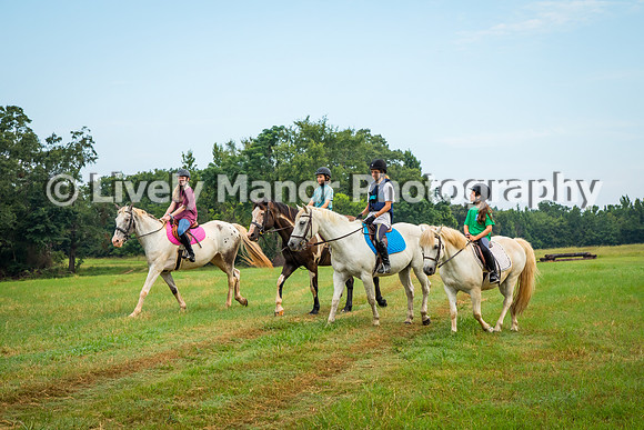 Group_4790