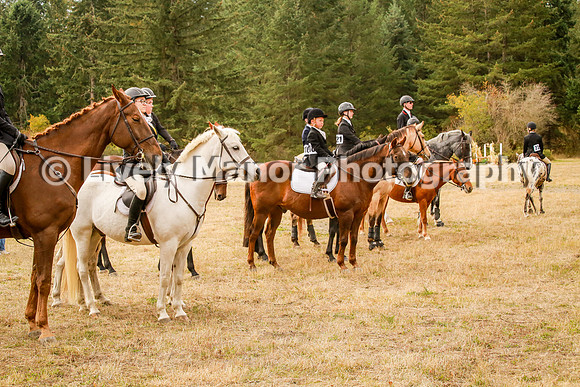 Group_0328