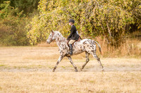 220Jordan_0178
